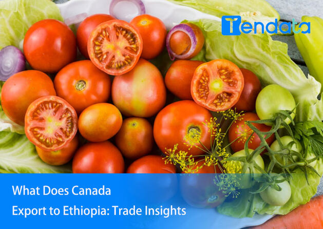 canada export,canada exports,canada export market