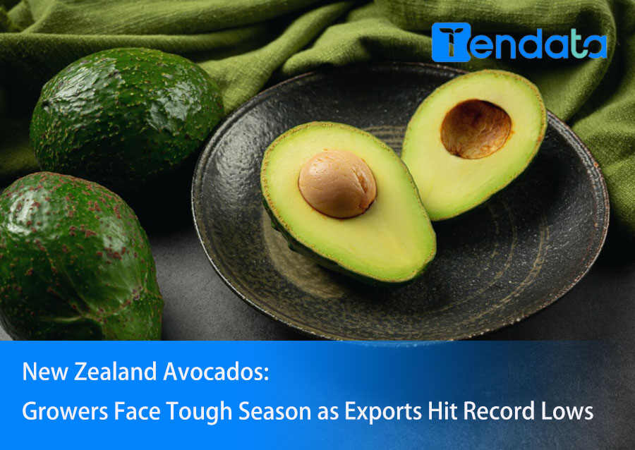 new zealand avocado export,new zealand fruit export,avocado export