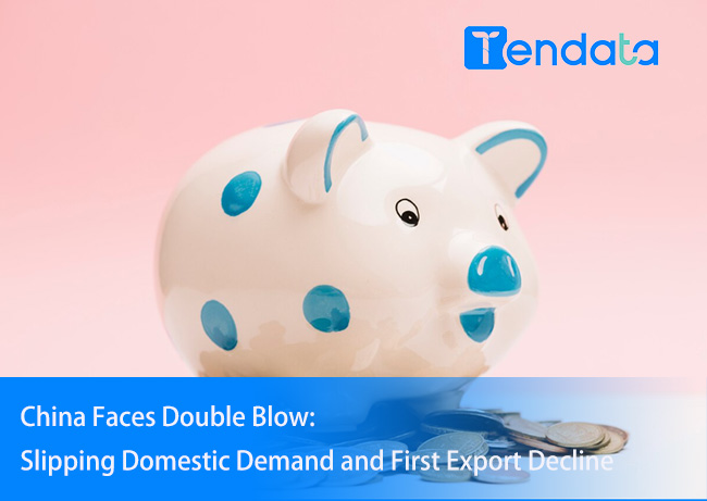 china economy,china economic performance,china economic deline