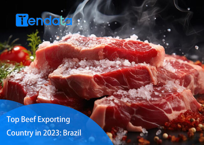 beef export,brazil beef export,brazil beef exports