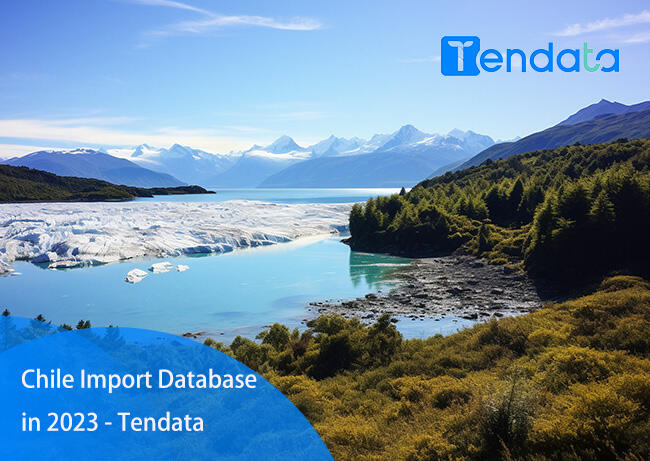 chile import database,import database,chile import