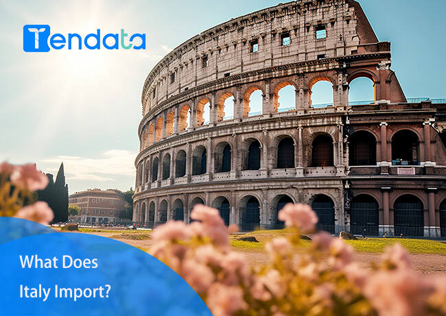 italy import,italy import products,italy imports