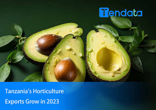 tanzania export,tanzania exports,tanzania avocado export