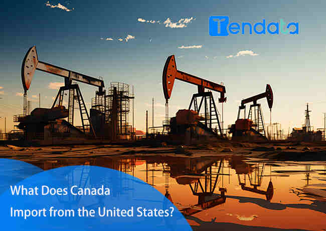 import from united states,import from the united states,imports from the united states