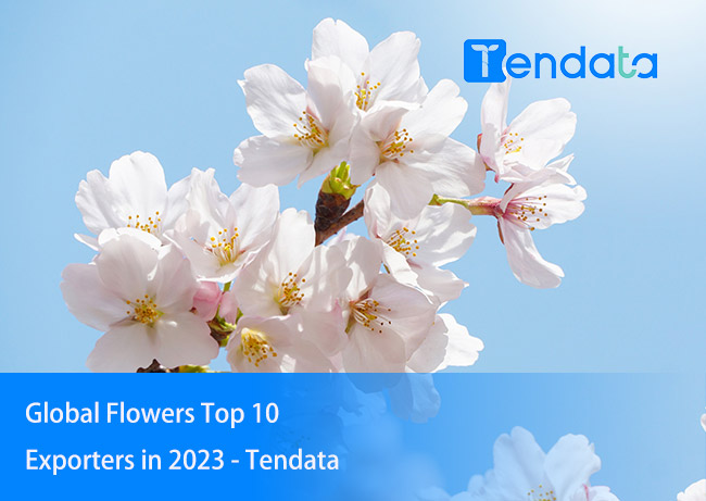 flowers exporters,flowers export,global flowers exporters