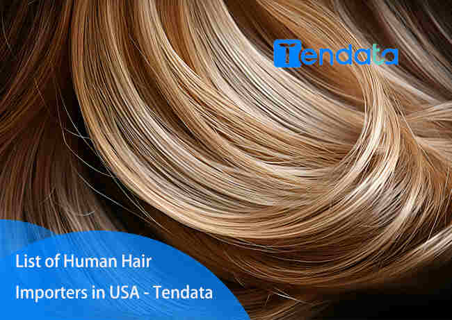 human hair importers,hair importers,human hair importer