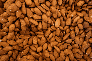 cashew export,cashew exports,cashew exporters