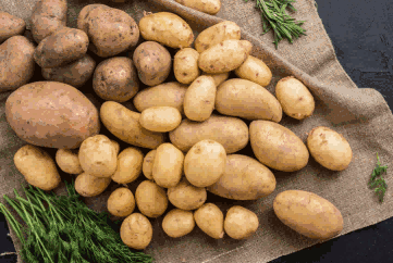 potato exports,potato market,global potato market