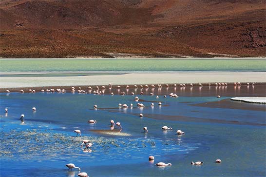 bolivia export data,export data,bolivia export