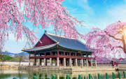 韩国(1).png