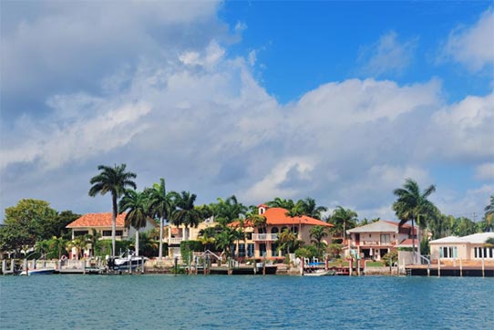 panama exporters,panama export,panama exporter