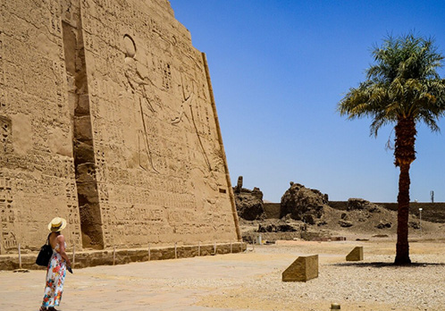 find buyer,find buyers,find buyers in egypt