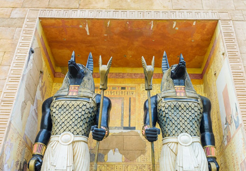 find buyer,find buyers,find buyers in egypt
