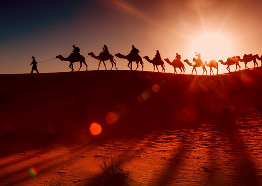 find buyer,find buyers,find buyers in the middle east