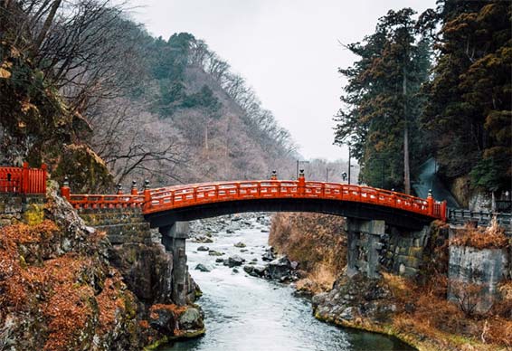 japanese importers,japanese importer,find japanese importers
