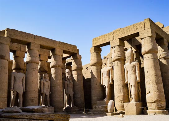 egypt importers,egypt importer,egypt import