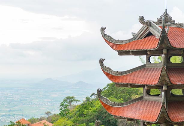 vietnam importers,vietnam importer,vietnam import