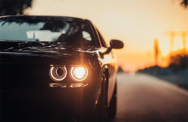 auto export,auto tariff,auto exports