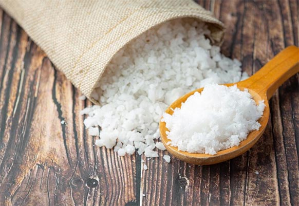 salt exports,global salt exports,salt export