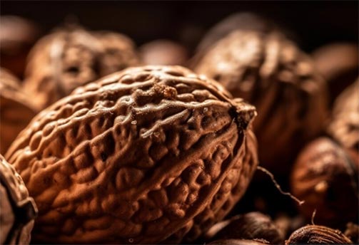 nutmeg export,global nutmeg export,nutmeg exports
