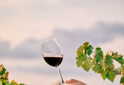 wine export,wine exporter,wine exporters