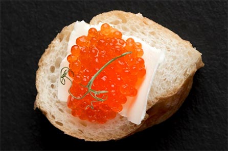 global caviar exports,global caviar export,caviar exports