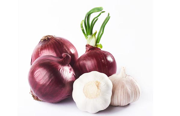 worldwide onion exports,onion exports,onion export