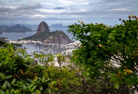 brazil market analysis,market analysis,market analyse