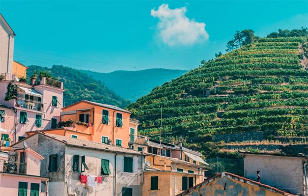 italy customs import and export data,import and export data,customs import and export data