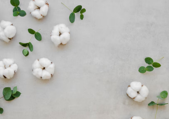 cotton export,cotton exporter,cotton exporters
