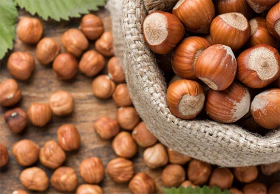 global hazelnut exports,hazelnut exports,hazelnut export