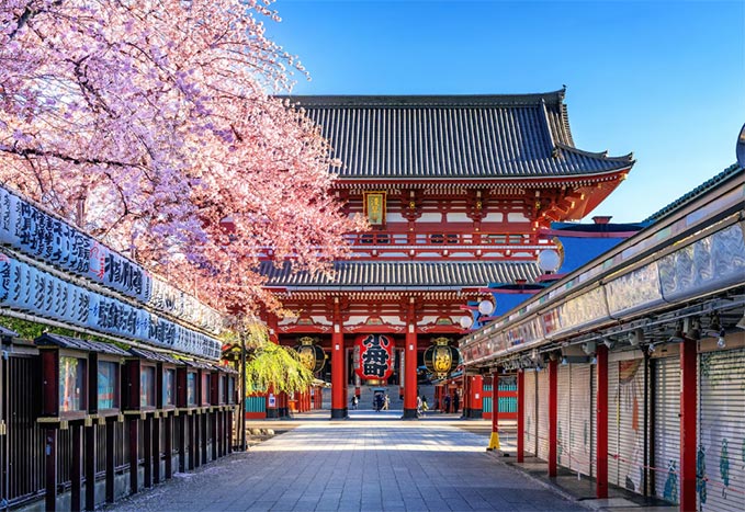 japan exporters data,japan exporters,japan suppliers