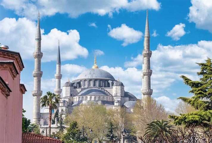 turkish market,turkish importers,turkish importer