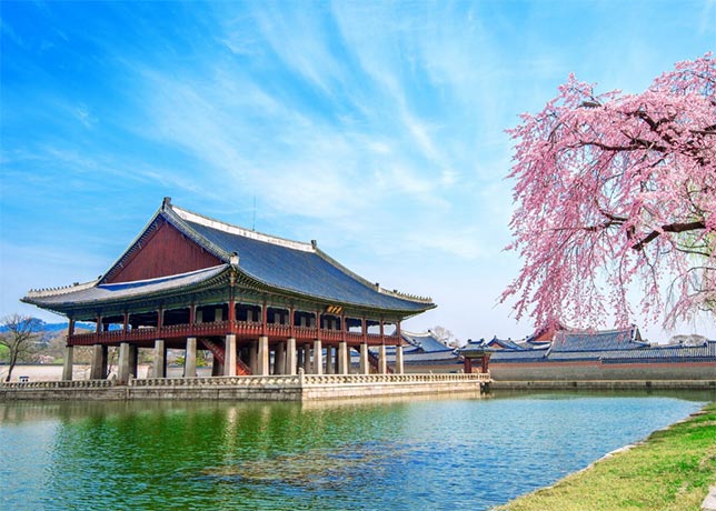 south korea's import & export trade data,import & export trade data,trade data
