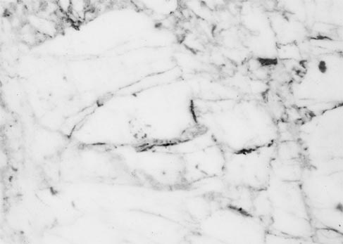 granite suppliers,granite supplier,global granite suppliers