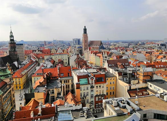 poland import,poland importer,poland importers