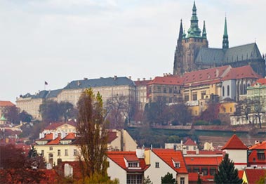 poland export,poland exporters,poland exporter