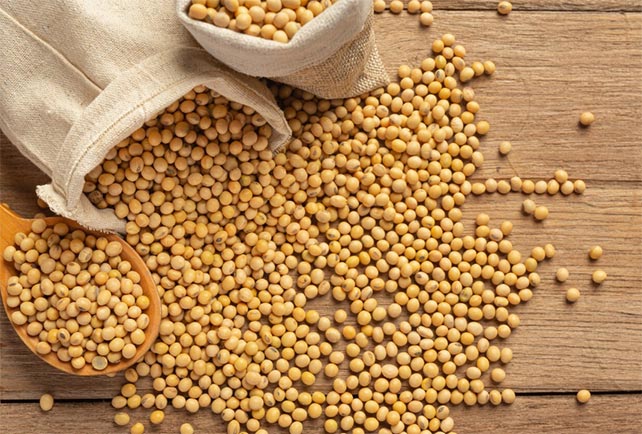 soybean imports,soybean import,china soybean imports