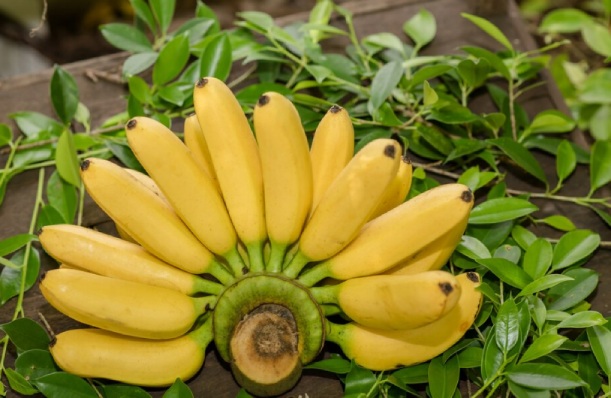 top 10 export products from the Philippines