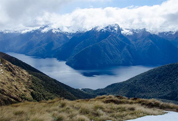 new zealand import and export trade data,import and export trade data,trade data