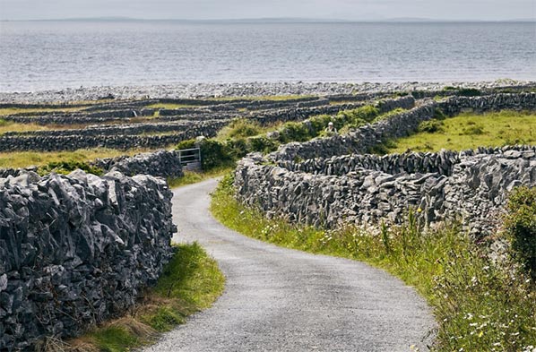 republic of ireland export data,ireland export data,ireland export