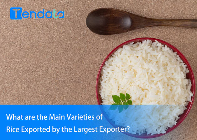 export import data