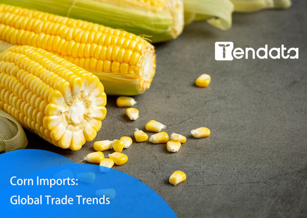 export import data