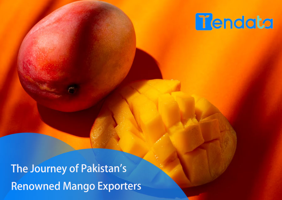 export import data
