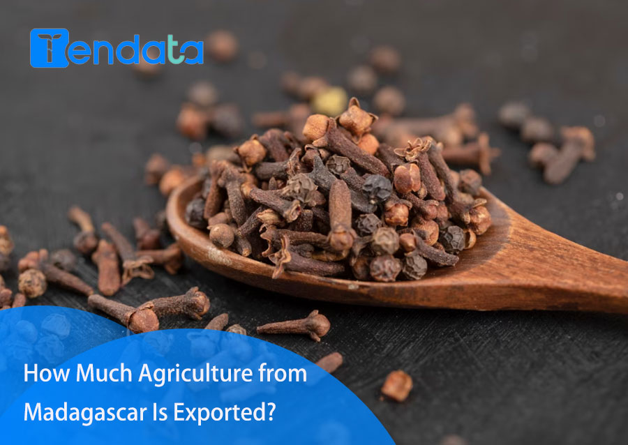 export import data