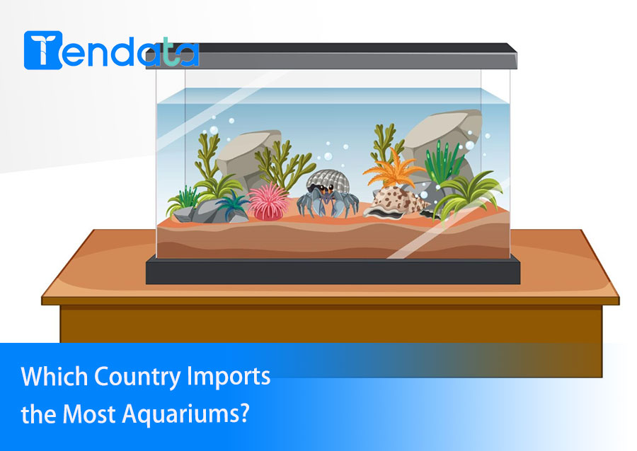 export import data