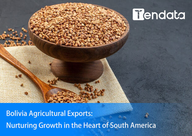 export import data