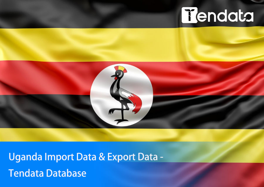 export import data