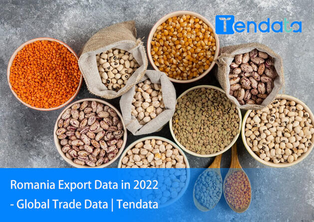 export import data