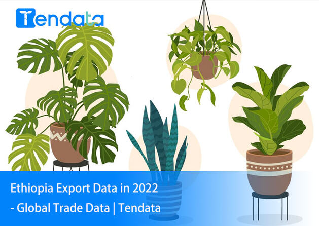export import data